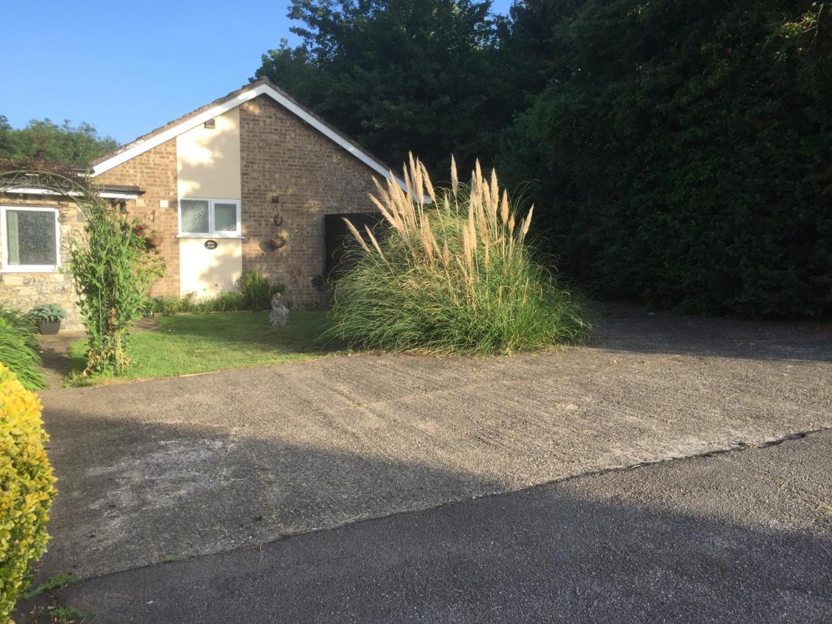 Blyth Lodge B&B 黑尔斯沃思 外观 照片